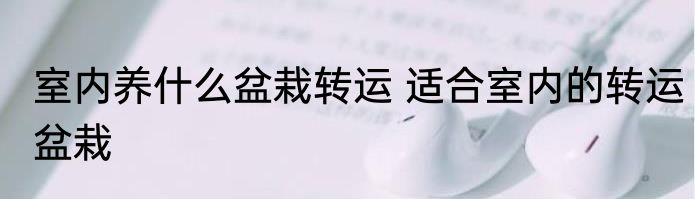室内养什么盆栽转运 适合室内的转运盆栽
