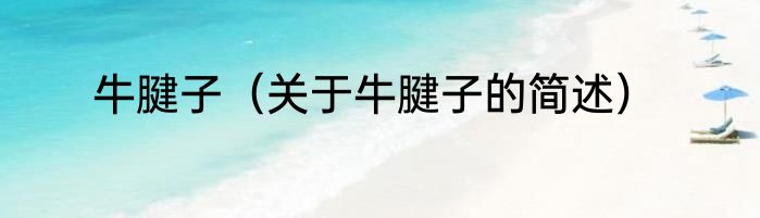 牛腱子（关于牛腱子的简述）