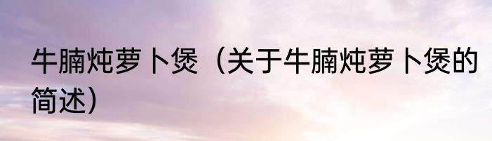 牛腩炖萝卜煲（关于牛腩炖萝卜煲的简述）