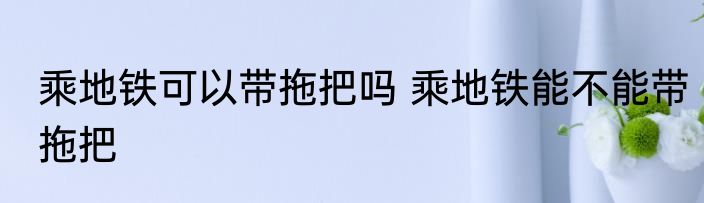 乘地铁可以带拖把吗 乘地铁能不能带拖把