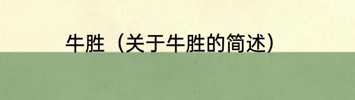 牛胜（关于牛胜的简述）