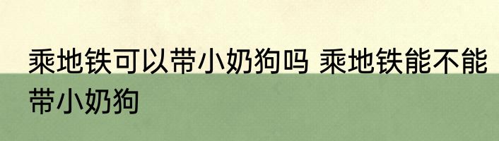 乘地铁可以带小奶狗吗 乘地铁能不能带小奶狗