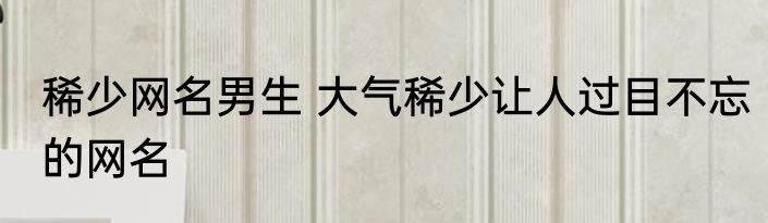 稀少网名男生 大气稀少让人过目不忘的网名