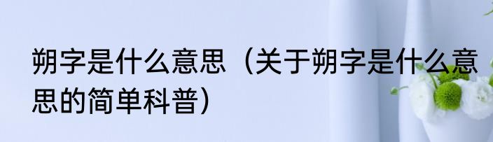 朔字是什么意思（关于朔字是什么意思的简单科普）