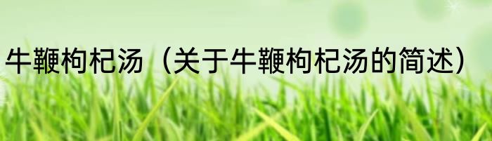 牛鞭枸杞汤（关于牛鞭枸杞汤的简述）