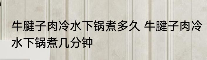 牛腱子肉冷水下锅煮多久 牛腱子肉冷水下锅煮几分钟