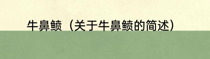 牛鼻鲼（关于牛鼻鲼的简述）