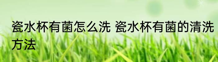 瓷水杯有菌怎么洗 瓷水杯有菌的清洗方法