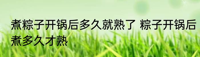 煮粽子开锅后多久就熟了 粽子开锅后煮多久才熟
