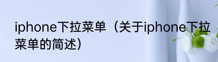 iphone下拉菜单（关于iphone下拉菜单的简述）