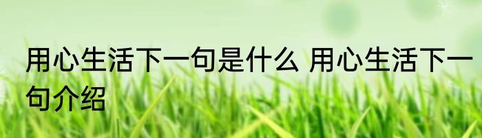 用心生活下一句是什么 用心生活下一句介绍