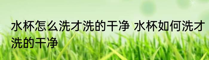水杯怎么洗才洗的干净 水杯如何洗才洗的干净