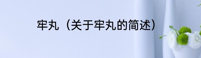 牢丸（关于牢丸的简述）