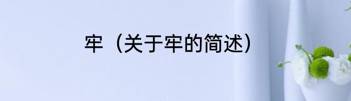 牢（关于牢的简述）