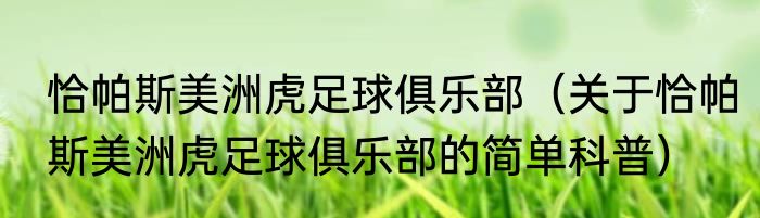 恰帕斯美洲虎足球俱乐部（关于恰帕斯美洲虎足球俱乐部的简单科普）