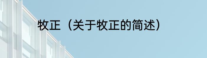 牧正（关于牧正的简述）