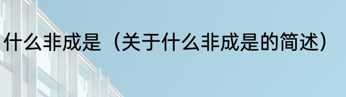 什么非成是（关于什么非成是的简述）
