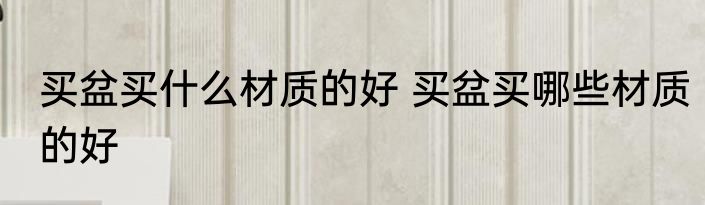 浪蝶狂蜂（关于浪蝶狂蜂的简单科普）