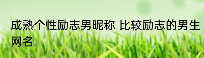 成熟个性励志男昵称 比较励志的男生网名
