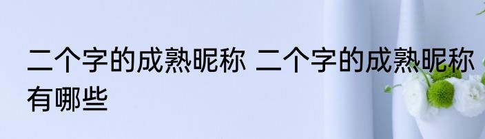 二个字的成熟昵称 二个字的成熟昵称有哪些