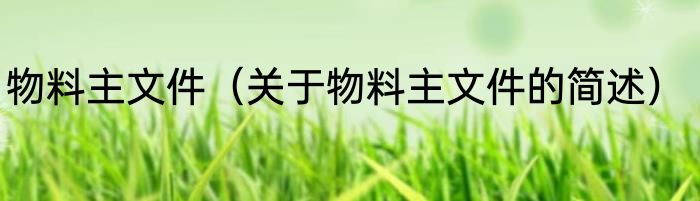物料主文件（关于物料主文件的简述）
