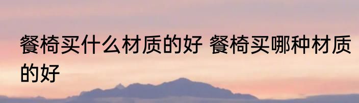 餐椅买什么材质的好 餐椅买哪种材质的好