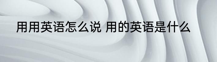 用用英语怎么说 用的英语是什么