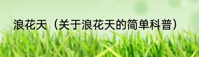 浪花天（关于浪花天的简单科普）