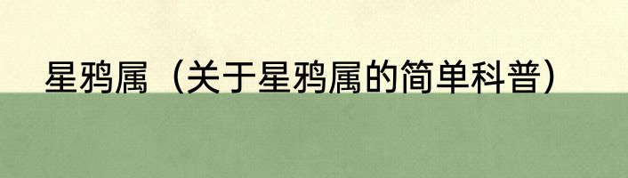 星鸦属（关于星鸦属的简单科普）