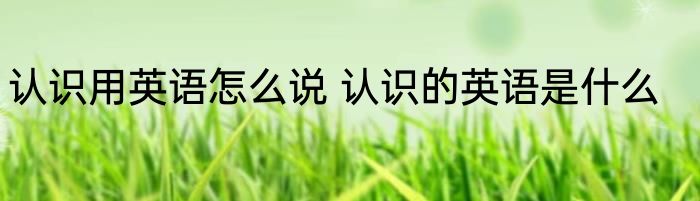 认识用英语怎么说 认识的英语是什么