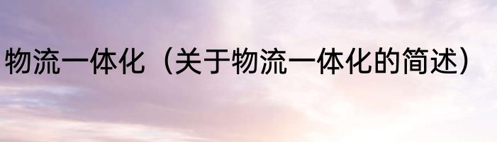 物流一体化（关于物流一体化的简述）