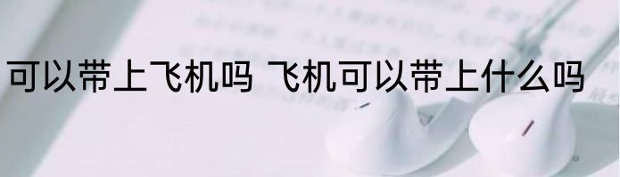 可以带上飞机吗 飞机可以带上什么吗