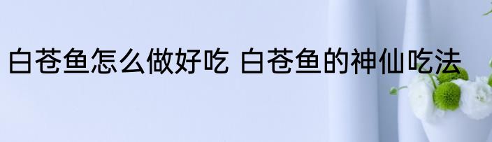白苍鱼怎么做好吃 白苍鱼的神仙吃法