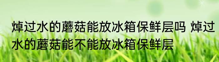 焯过水的蘑菇能放冰箱保鲜层吗 焯过水的蘑菇能不能放冰箱保鲜层
