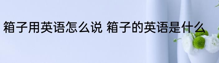 箱子用英语怎么说 箱子的英语是什么