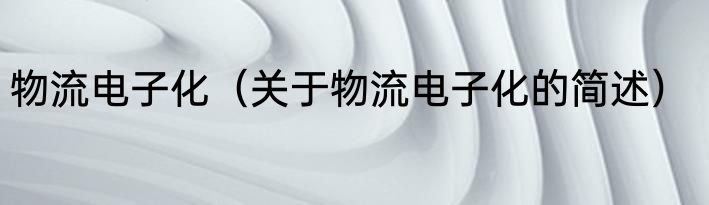 物流电子化（关于物流电子化的简述）
