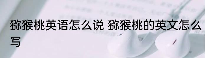 猕猴桃英语怎么说 猕猴桃的英文怎么写