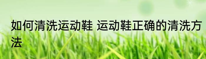 如何清洗运动鞋 运动鞋正确的清洗方法
