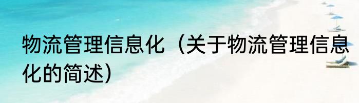 物流管理信息化（关于物流管理信息化的简述）