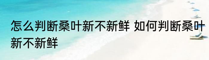 怎么判断桑叶新不新鲜 如何判断桑叶新不新鲜