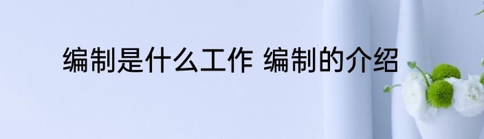 编制是什么工作 编制的介绍