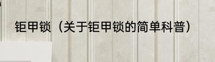 钜甲锁（关于钜甲锁的简单科普）