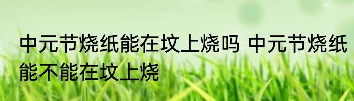 中元节烧纸能在坟上烧吗 中元节烧纸能不能在坟上烧