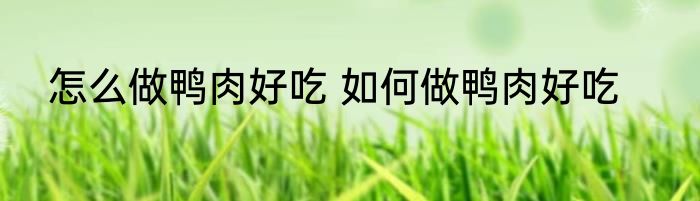 怎么做鸭肉好吃 如何做鸭肉好吃