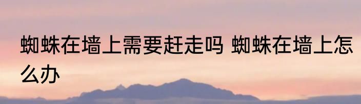 蜘蛛在墙上需要赶走吗 蜘蛛在墙上怎么办