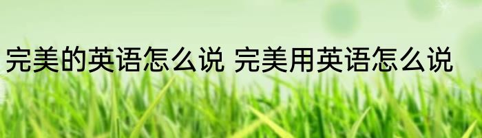 完美的英语怎么说 完美用英语怎么说