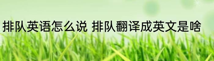 排队英语怎么说 排队翻译成英文是啥