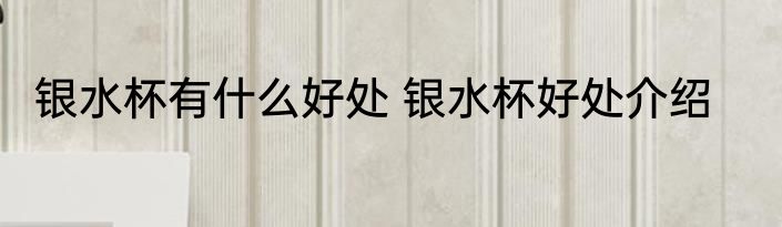银水杯有什么好处 银水杯好处介绍