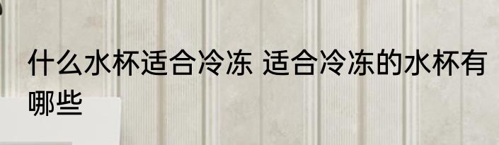什么水杯适合冷冻 适合冷冻的水杯有哪些