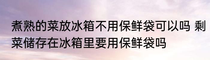 煮熟的菜放冰箱不用保鲜袋可以吗 剩菜储存在冰箱里要用保鲜袋吗